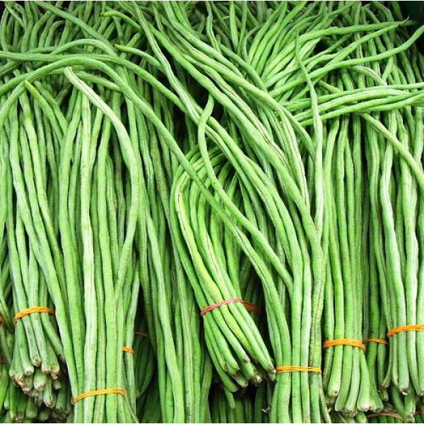 Omaxe Yard long Beans Imported (40 seeds)